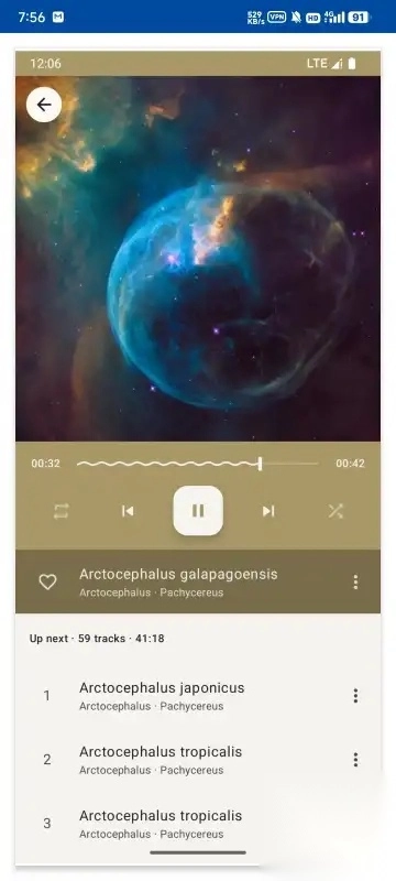 Phocid音乐播放器app官方版4