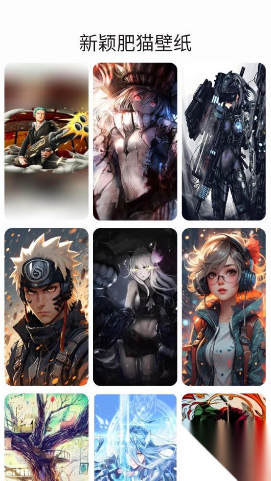 网肥猫手机版图3