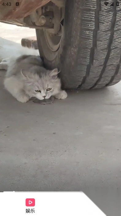 爱刷剧场红包最新版