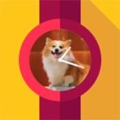 PhotoWatchMaker手表端apk
