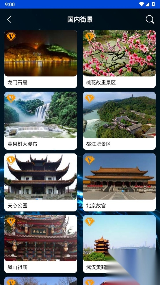 观光街景地图解锁VIP功能截图4