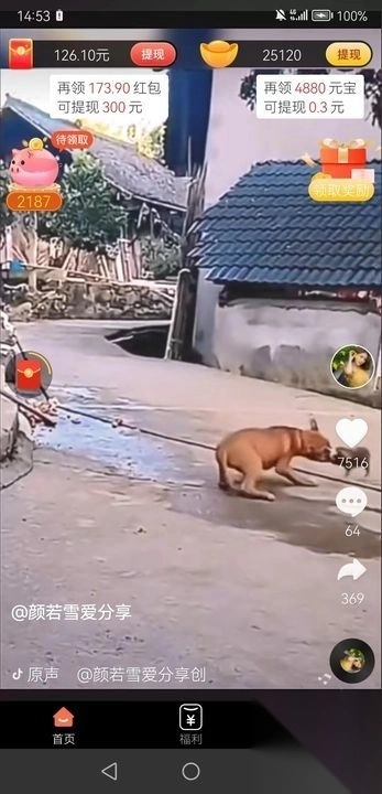 柴卡喵短视频红包版