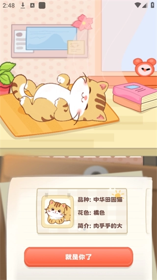 桌面喵无广告版