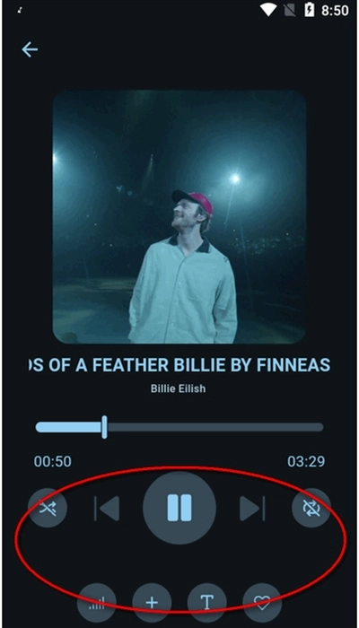 Musify音乐最新版