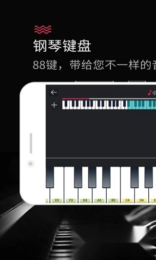 钢琴键盘2026最新版图4