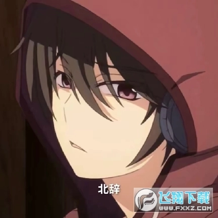 北辞弱网10.0文件 V北辞弱网10.0版本