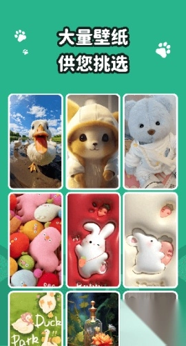 叮咚壁纸安装(2)