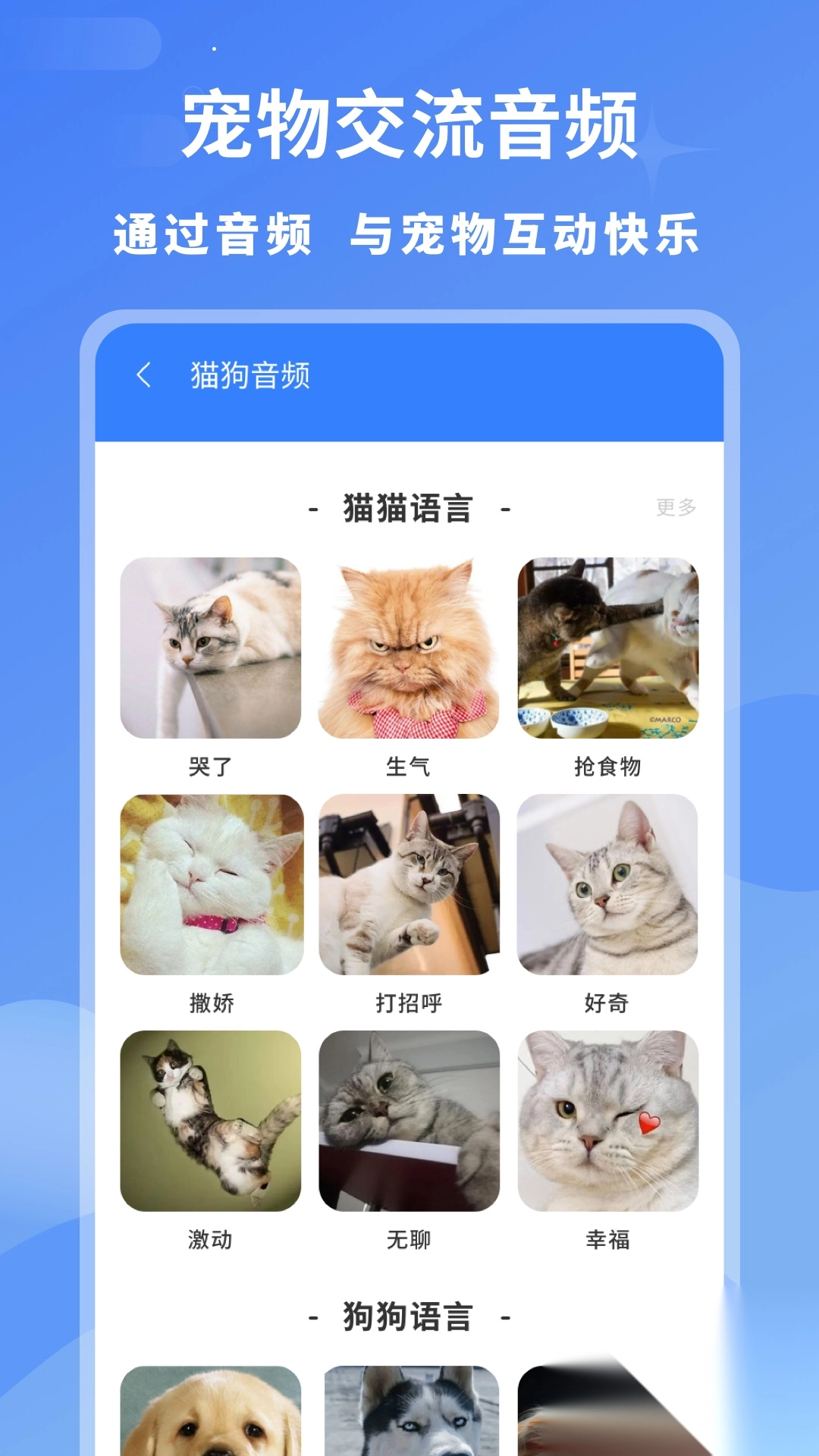 小白交流翻译图1