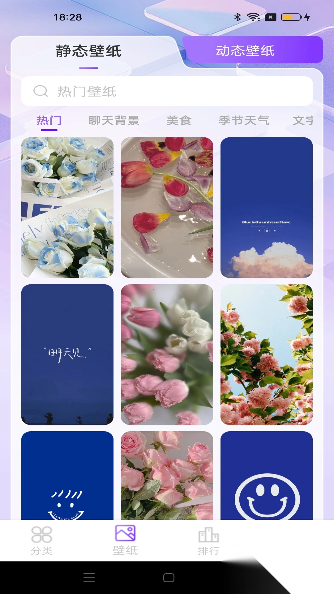 元汽动态壁纸图1