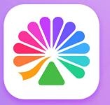 大麦网官方订票appv8.10.14