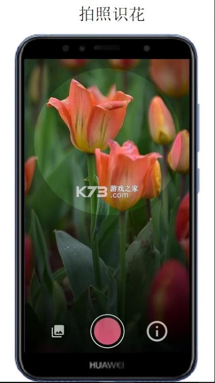 万物识别app(万物志)v2.1.72.250430-图2