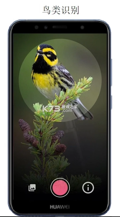 万物识别app(万物志)v2.1.72.250430-图5