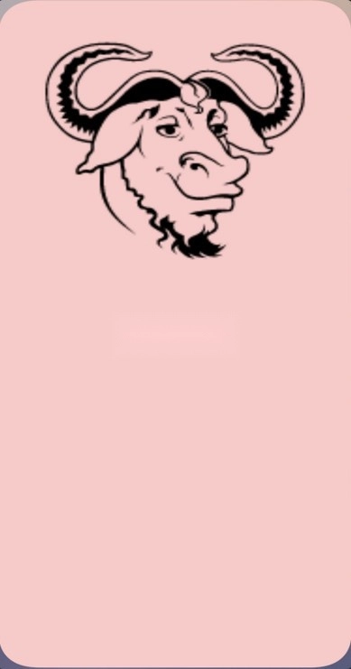 NativeTest安卓图2