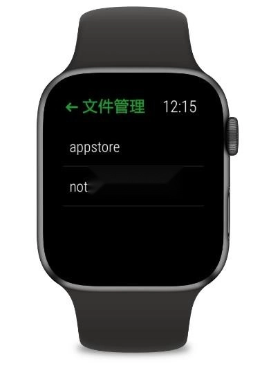 抬腕文件手表版图4