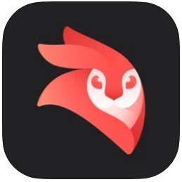 videoleap安卓版免费v1.36.0