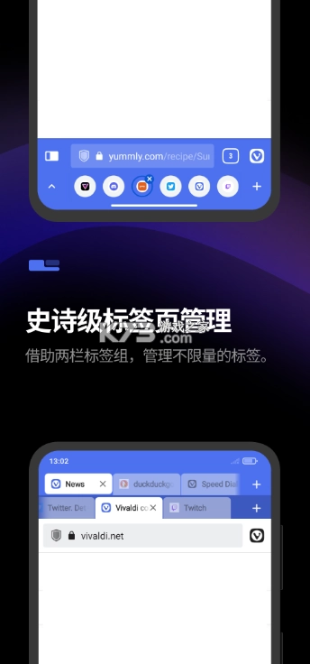 Vivaldi游览器官方版v7.4.3691.84图2