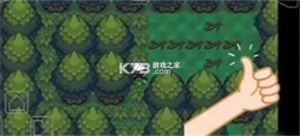 口袋妖怪究极绿宝石4小智版