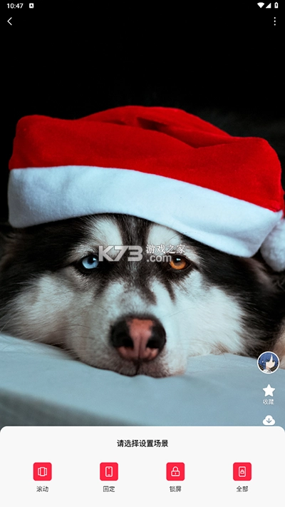 汽水壁纸app官方免费版v1.5.3(8)