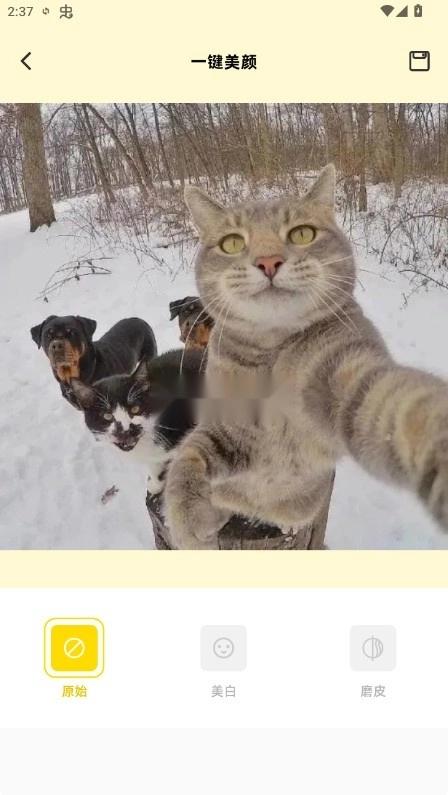 蓝龙美化包安装