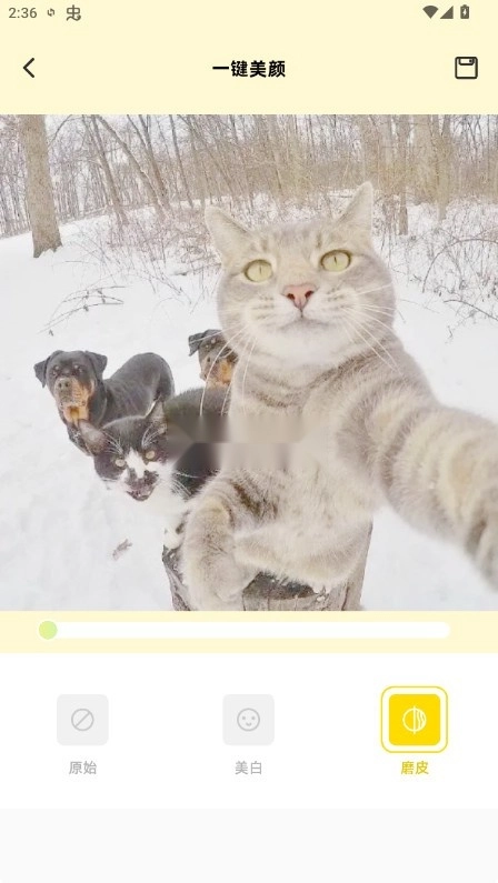 蓝龙美化包安装