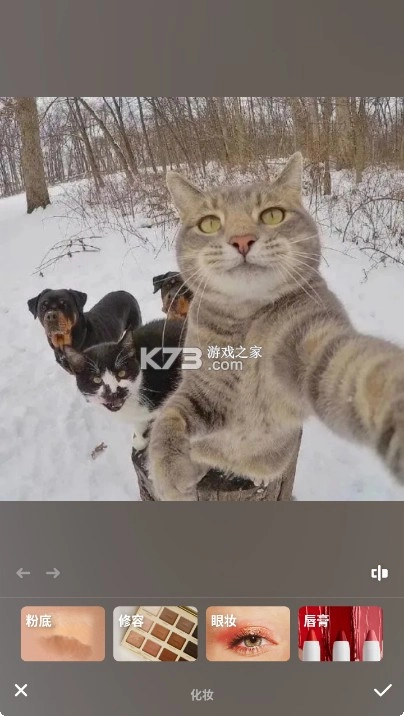 Peachyapp官方版v1.120.35图3