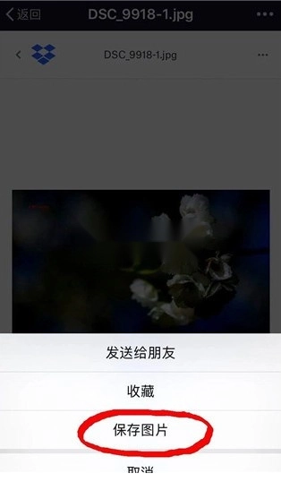 dropbox v400.2.2 安卓版