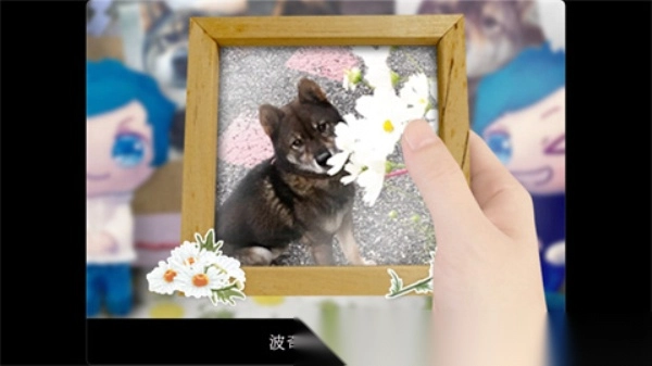 翌日波奇狗的历险记(1)