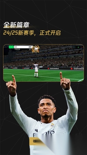 fc足球世界国际服图2