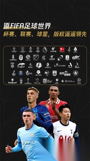 fc足球世界国际服图4