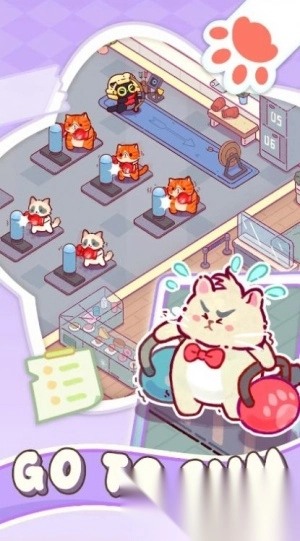 猫咪健身房图1