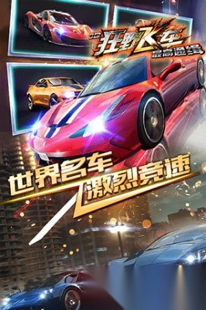 3d狂野飞车老版(2)