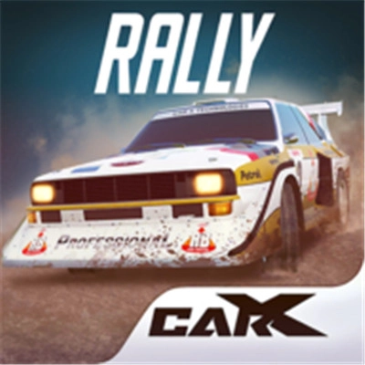 CarXRally