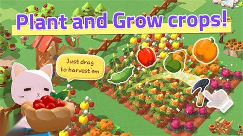 猫岛探险记最新版