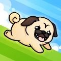 跑跑狗狗