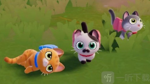 心动小镇里猫咪没活力该怎么恢复？这里有心动小镇猫咪没活力的恢复方法。