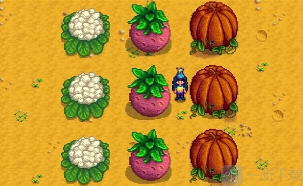 星露谷物语1.6版本中巨大作物的特点星露谷物语里巨大农作物的用途是什么