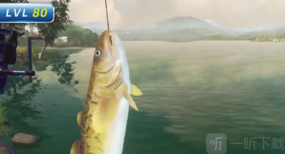 欢乐钓鱼大师的体力要如何获取？欢乐钓鱼大师体力的获取途径有哪些？