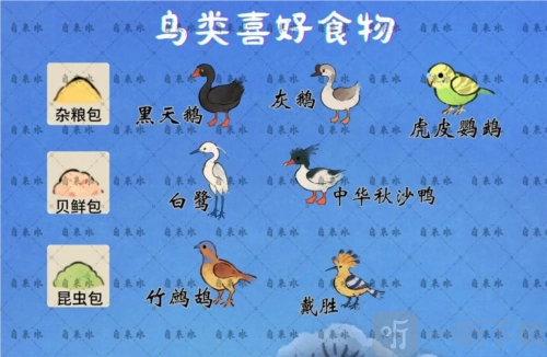 桃源深处有人家鸟类喜爱的食物有哪些？鸟类喜爱食物全览