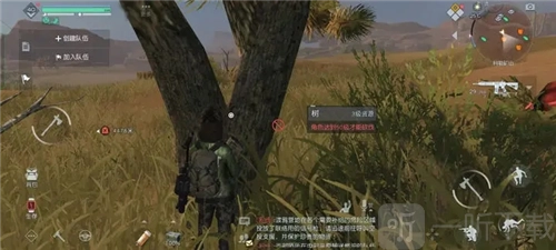 如何获取黎明觉醒中的杜松木？杜松木获取攻略来啦