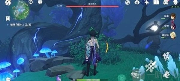 原神雾海与树之祭能量球任务全攻略，含图文分享