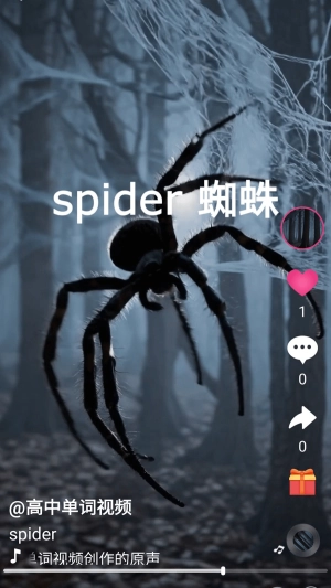 刷单词手机版图2