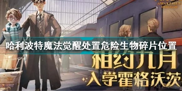 9.29哈利波特魔法觉醒拼图寻宝碎片位置分享：处置危险生物碎片在哪一览