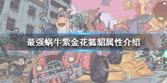 最强蜗牛紫金花狐貂好不好？紫金花狐貂属性讲解