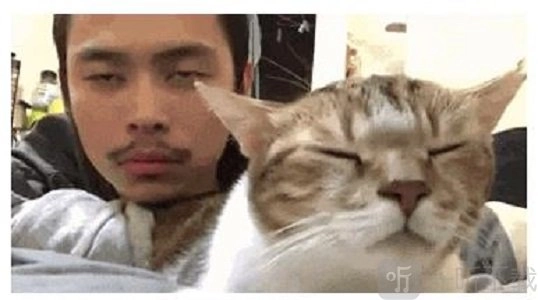 抖音、B站及网络上有哪些热梗？全网最新最火的热梗汇总全在这里