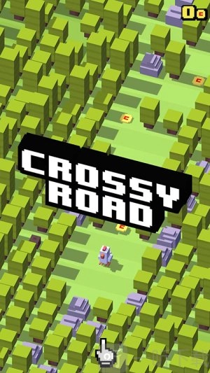 天天过马路2025最新版