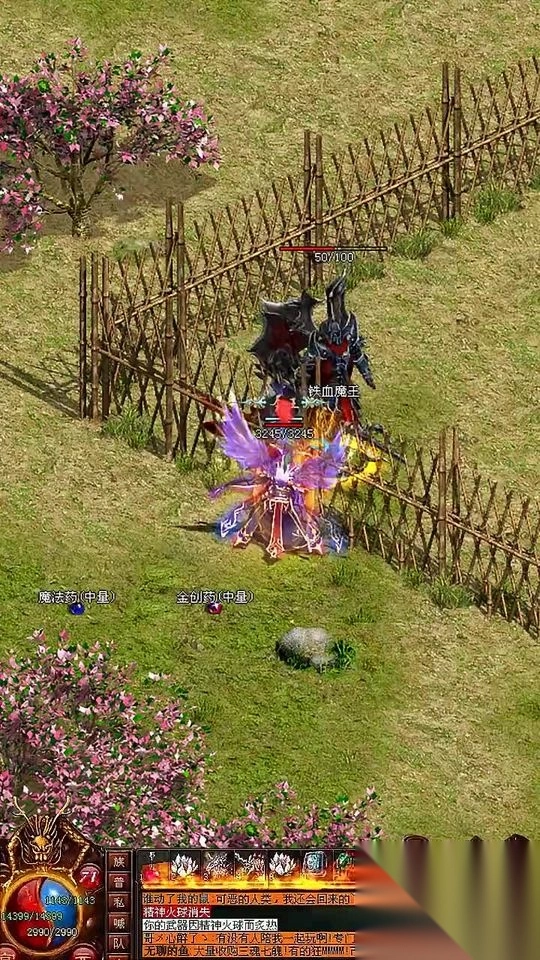 武魂传世密藏版