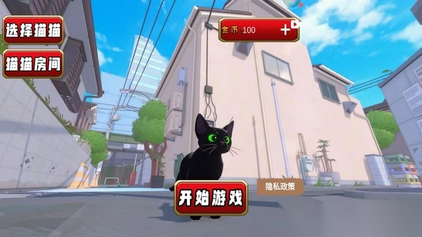 猫猫游乐园