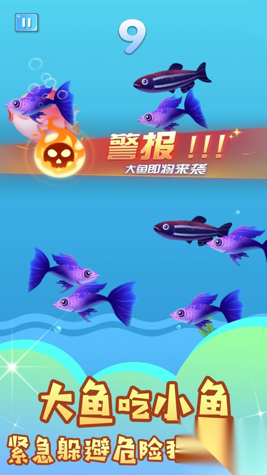 鱼儿生存大乱斗