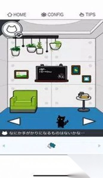 猫咪逃出双人房