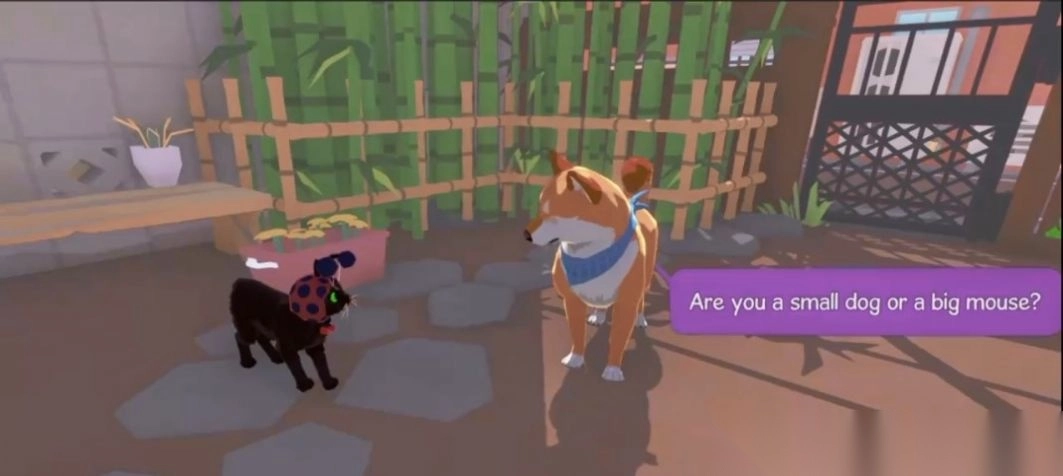 大城小猫模拟器